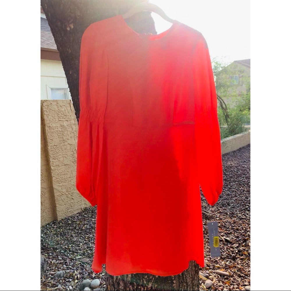 Orange London Times Petites Dress